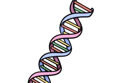 How To Draw DNA