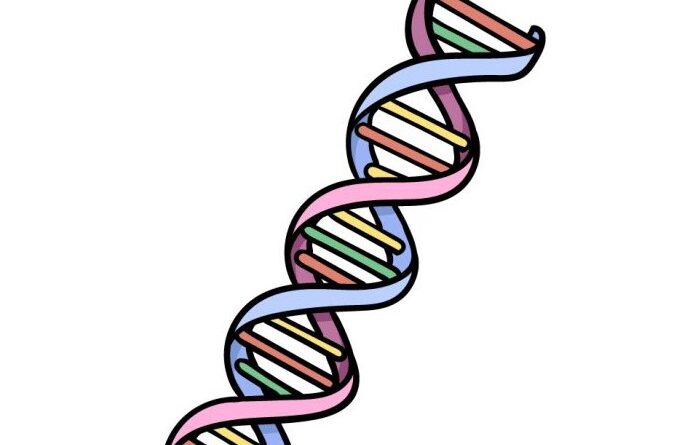 How To Draw DNA